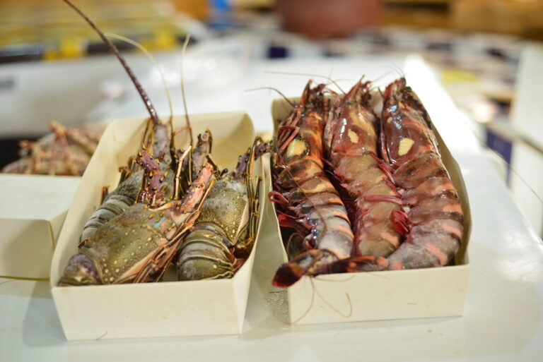 Pour sauver le poisson, il faut sauver le Grand Bleu